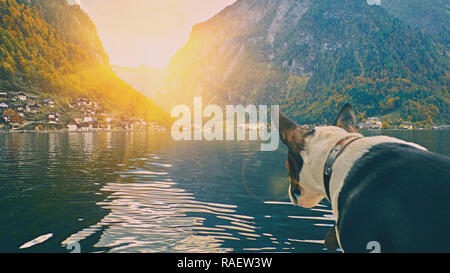 Lever de soleil sur l'Hallstatt alpes autrichiennes resort et village de montagne alpes rurales traditionnelles maisons et bateau en bois Maisons à Hallstatt lac. Chiot mignon Banque D'Images