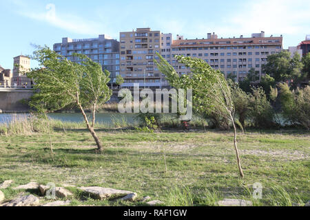 Un avis de certains blocs d'appartement à côté de l'Èbre, promenade et parc, avec des arbres courbés par le vent, dans un jour ensoleillé, à Saragosse, Aragon, Espagne Banque D'Images