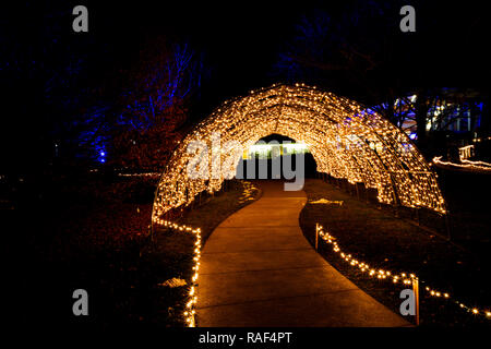 Feux d'hiver au Jardin de rocaille. Royal Botanical Gardens Hamilton / Burlington Ontario Canada. Banque D'Images