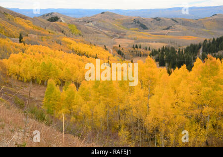 Automne dans le panorama des montagnes Wasatch de l'Utah. Banque D'Images