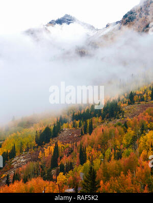 Automne dans le panorama des montagnes Wasatch de l'Utah. Banque D'Images