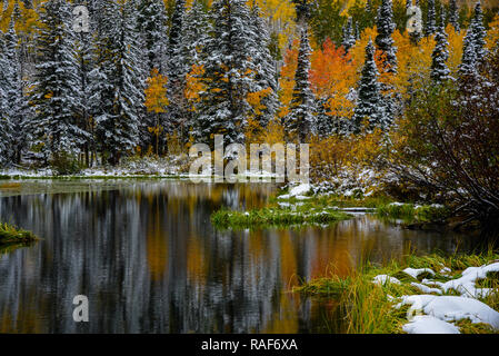 Automne dans le panorama des montagnes Wasatch de l'Utah. Banque D'Images