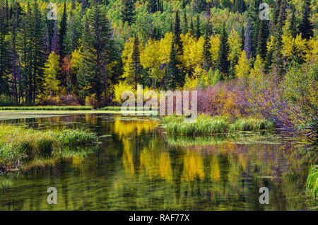 Automne dans le panorama des montagnes Wasatch de l'Utah. Banque D'Images