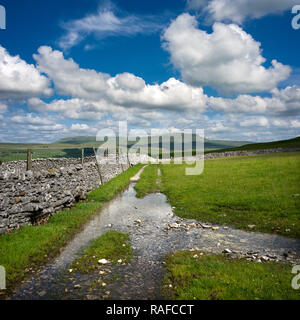 Pen-y-Ghent vu de près de Borrins dans le Yorkshire Dales Ribblesdale Banque D'Images