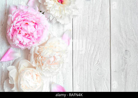 Fleurs de pivoine rose et blanc sur blanc table en bois. Vue de dessus avec copie espace ou valentines day. les femmes d'arrière-plan Banque D'Images