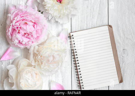 Fleurs de pivoine rose et blanc avec doublure blanche portable sur une table en bois blanc.. La maquette vue de dessus avec copie espace ou valentines day. les femmes d'arrière-plan Banque D'Images