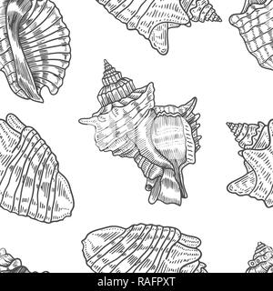 Les coquillages vector pattern transparente. Illustrations de marine à la main ligne gravée. Fond monochrome. Illustration de Vecteur