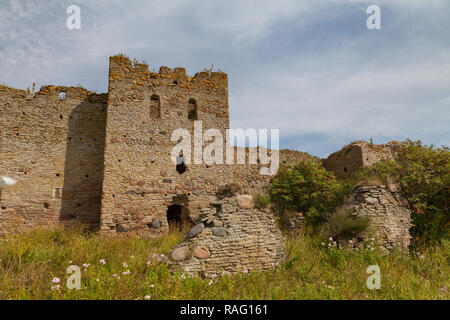 Ruines d'un château Toolse en Estonie. Plus tôt Tolsburg ou Vredeborch. Banque D'Images