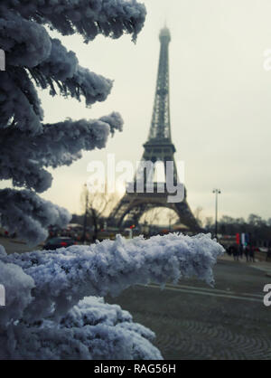 Couvert de neige des branches de sapin, arbre de Noël fermer jusqu'en face de la Tour Eiffel à Paris, France. Banque D'Images