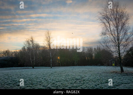 Jour de Noël frosty matin en milieu rural España Banque D'Images