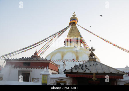 Le plus grand stupa Boudhanath stupa bouddhiste de Katmandou - Népal ville Banque D'Images