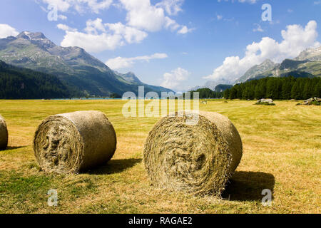 Balade autour du Lac de Sils dans la vallée de la Haute-engadine, Grisons (Suisse) - Europe Banque D'Images