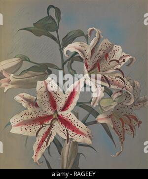 Lily, Kazumasa Ogawa (Japon, 1860 - 1929), Yokohama, Japon, 1896, à la main, phototypie, 27,5 x 24,1 cm (10 13,16 repensé Banque D'Images