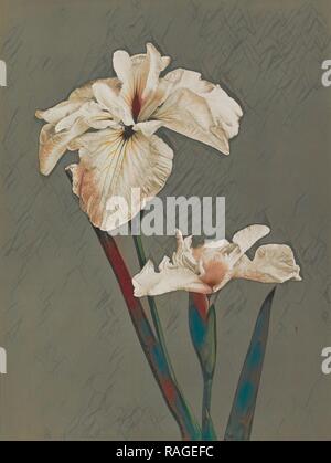 Iris Kaempferi, Kazumasa Ogawa (Japon, 1860 - 1929), Yokohama, Japon, 1896, à la main, phototypie, 27,9 x 20,8 cm repensé Banque D'Images
