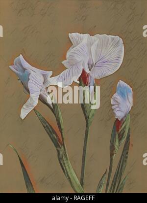 Iris Kaempferi, Kazumasa Ogawa (Japon, 1860 - 1929), Yokohama, Japon, 1896, à la main, phototypie, 26,8 x 20,6 cm repensé Banque D'Images