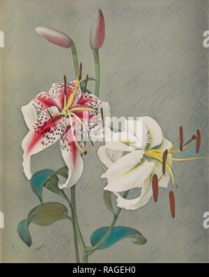 Lily, Kazumasa Ogawa (Japon, 1860 - 1929), Yokohama, Japon, 1896, à la main, phototypie, 29,1 x 23 cm (11 x 7,16 repensé Banque D'Images