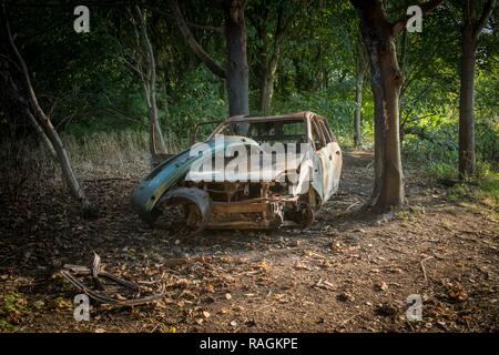 Épuisé et vandalisée voiture abandonnée en zone boisée, West Midlands, Royaume-Uni. Banque D'Images