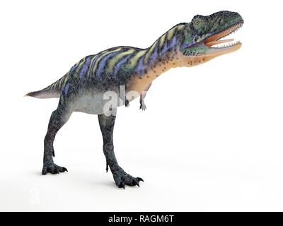 Illustration d'un aucasaurus. Banque D'Images