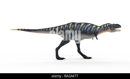 Illustration d'un aucasaurus. Banque D'Images