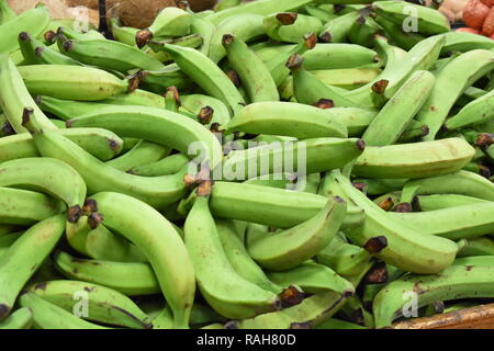 Beaucoup de plantains Banque D'Images