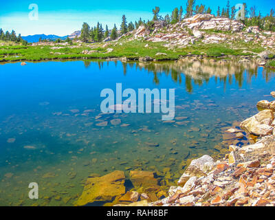 Les eaux claires de lac alpin le long de l'autoroute Beartooth, passerelle au nord-est du parc national de Yellowstone. L'Autoroute Beartooth, la plus belle route en Amérique, section de la Route 212, du Montana et du Wyoming. Banque D'Images