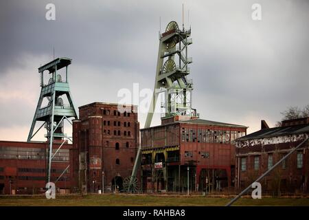 Zeche Ewald Colliery, ancienne mine de charbon, Doppelbock chevalement du puits de mine no 7, gauche, Malakow de mine et de la tour n°2 Banque D'Images