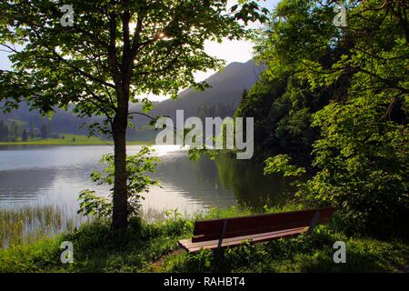 Un banc sur le lac Spitzingsee, un lac de montagne, 1084 mètres au-dessus du niveau de la mer, montagnes, Mangfall, Bavière Haute-bavière Banque D'Images