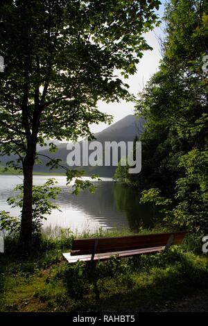 Un banc sur le lac Spitzingsee, un lac de montagne, 1084 mètres au-dessus du niveau de la mer, montagnes, Mangfall, Bavière Haute-bavière Banque D'Images