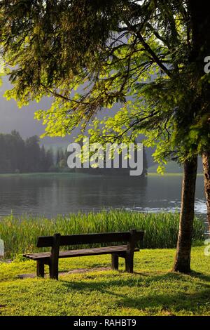 Un banc sur le lac Spitzingsee, un lac de montagne, 1084 mètres au-dessus du niveau de la mer, montagnes, Mangfall, Bavière Haute-bavière Banque D'Images