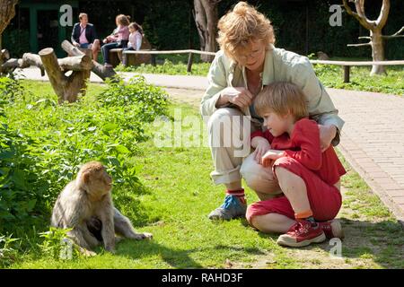 La mère et le fils de regarder un macaque de Barbarie (Macaca sylvanus), parc Serengeti, Hodenhagen, Basse-Saxe Banque D'Images