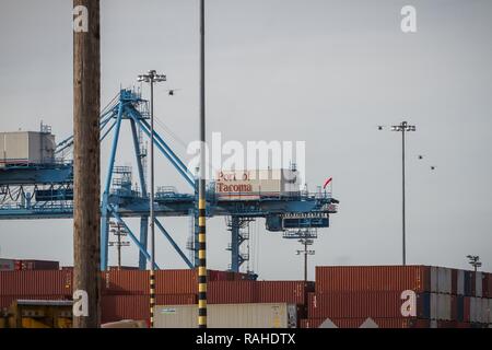 L'Armée américaine les hélicoptères Black Hawk UH-60M affecté à la 16e Brigade d'aviation de combat, 7e Division d'infanterie, volent au-dessus de Port of Tacoma, Washington, le 2 février 2017. Des avions de la 16e CAB ont été déplacés vers le port pour préparer l'expédition à l'appui de missions à venir. Banque D'Images