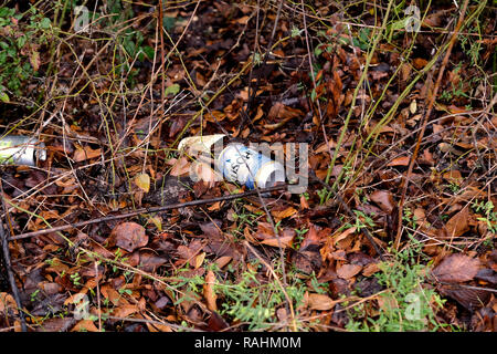 Des canettes de bière vides jetées sur le sol au milieu des feuilles dans la nature ; la pollution de l'aluminium ; corbeille dans la nature. Banque D'Images