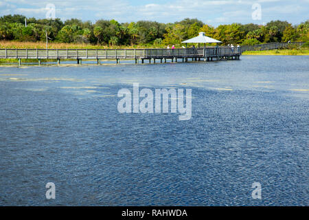 Promenade, Caye verte Nature Centre, Boynton Beach, Floride Banque D'Images