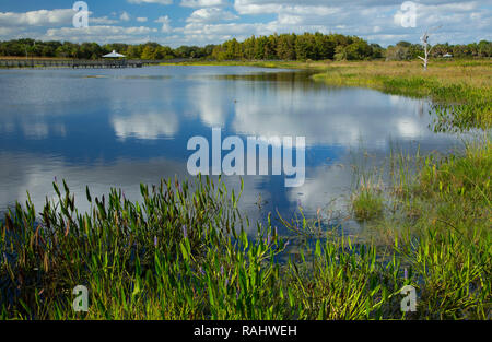 Promenade, Caye verte Nature Centre, Boynton Beach, Floride Banque D'Images