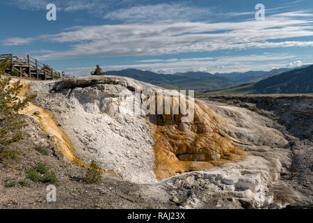 Mammoth Hot Springs est un grand complexe de hot springs, sur une colline de travertin dans le Parc National de Yellowstone. Wyoming, USA Banque D'Images