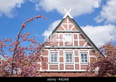 Maison à colombages, Jork Altes Land, région de culture de fruits, Basse-Saxe, PublicGround Banque D'Images