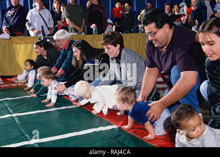 Fairfax, VA 1998/03/01 d'un derby. Un concours où les nourrissons essayer d'aller sur une ligne d'arrivée tout en étant encouragés par leurs parents. Photo par Dennis Brack Banque D'Images