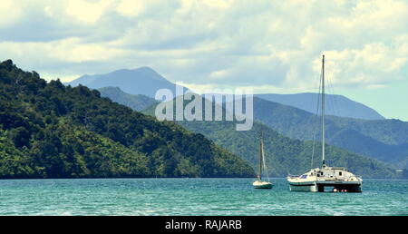 Yachts ancrés dans la baie de Shakepeare à l'extrémité nord de Queen Charlotte Sound Banque D'Images