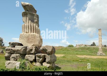 Temple d'Artémis, ville antique d'Éphèse, la FEAS, la Turquie, l'Asie occidentale Banque D'Images