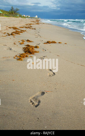 Plage, Parc de South Beach, Boca Raton, Floride Banque D'Images