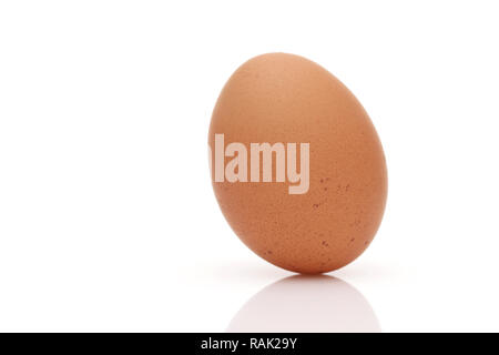 Oeufs debout brune sur un fond blanc, dans un studio shot Banque D'Images