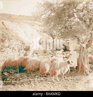 Des moutons paissant sur les collines de Judée. 1898, au Moyen-Orient, Israël et/ou Palestine. Repensé par Gibon. L'art classique avec un repensé Banque D'Images