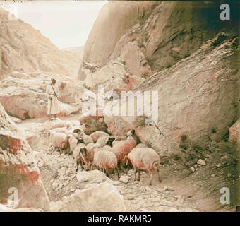 Ensemble de treize sélectionnez Diapositives de la vie de berger, illustrant le vingt-troisième Psaume. Manquerez "goodness and mercy' 1900 repensé Banque D'Images