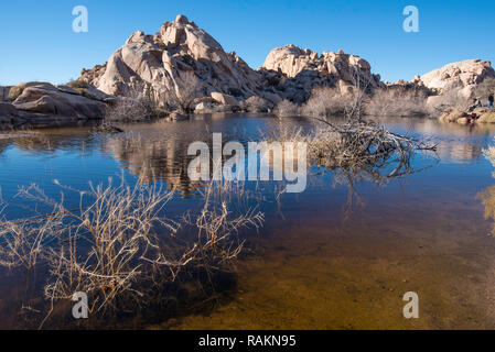 Ciel bleu reflété dans un miroir comme point d'eau dans la région de Joshua Tree National Park, California, USA Banque D'Images