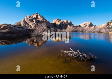 Ciel bleu reflété dans un miroir comme point d'eau dans la région de Joshua Tree National Park, California, USA Banque D'Images