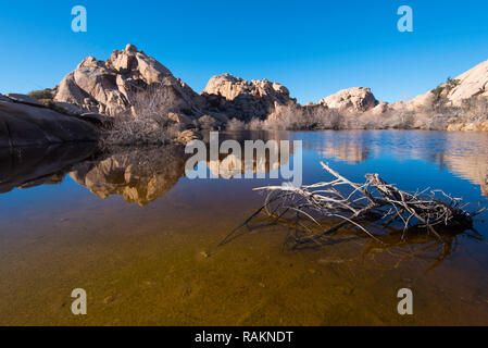 Ciel bleu reflété dans un miroir comme point d'eau dans la région de Joshua Tree National Park, California, USA Banque D'Images