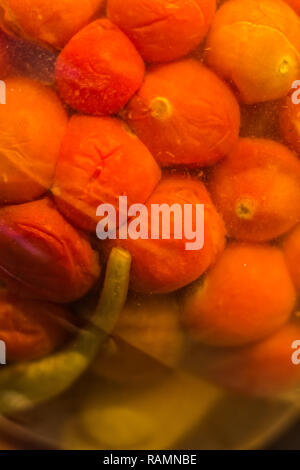 Les aliments marinés. Automne assortiment préserve. Pots de légumes marinés. Ferme d'étanchéité des légumes dans les bocaux. Banque D'Images