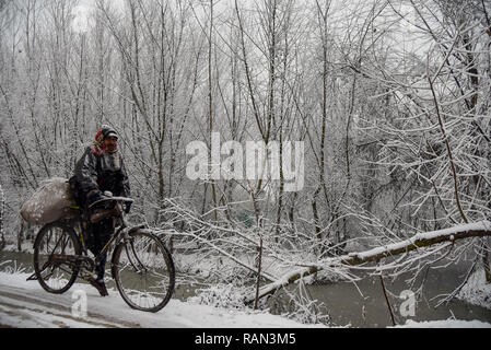 Un homme vu du Cachemire d'une bicyclette au cours de la neige fraîche à Srinagar. Neige dans la partie indienne du Cachemire a perturbé le trafic aérien, et de la circulation routière entre Srinagar, Jammu et l'été et d'hiver du Jammu-et-Cachemire Inde capitales de l'état, selon les bulletins de nouvelles. Banque D'Images