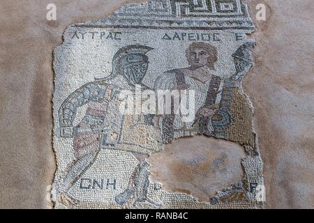 Mosaïque au sol, chambre de gladiateurs, d'excavation, Kourion, Chypre, Bodenmosaik, Haus der Gladiatoren, Ausgrabungsstaette, Zypern Banque D'Images