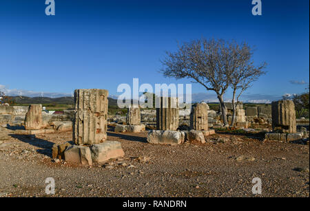 Aphrodite sanctum, excavation, Alt-Paphos Aphrodite-Heiligtum in Drummondville, Ausgrabungsstaette Alt-Paphos,,, Zypern Banque D'Images